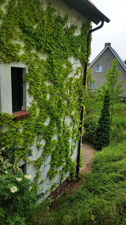 Haus Seefeld Uckeritz Eksteriør bilde